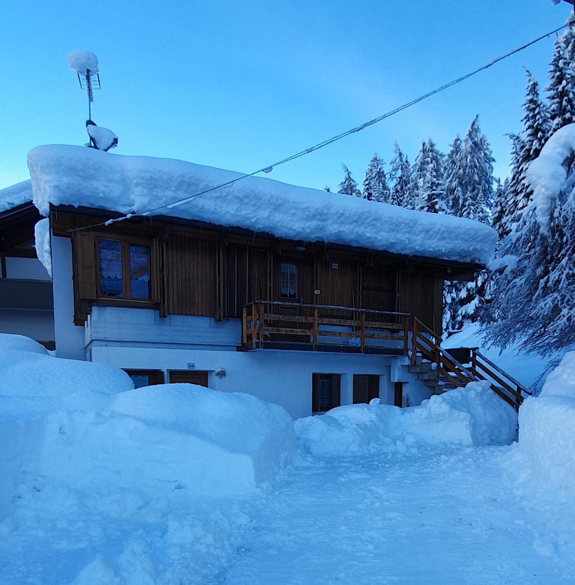 Villa Gaia Folgarida Buitenkant foto